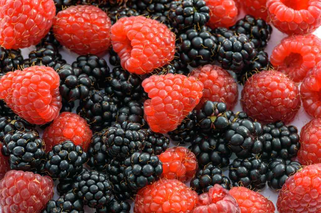 Blackberries and Raspberries